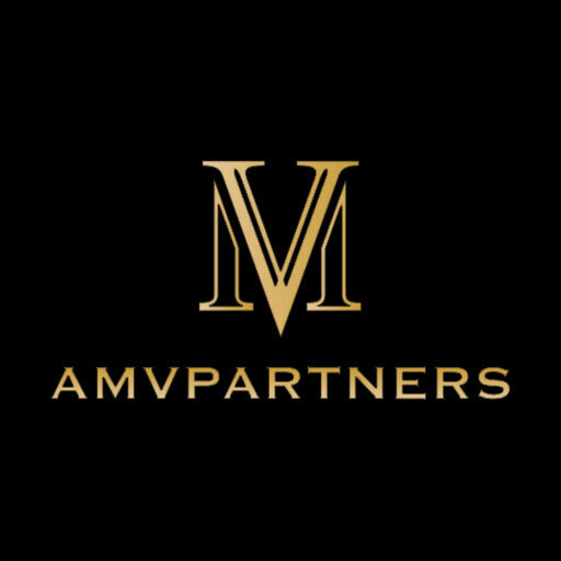 AMV PARTNERS
